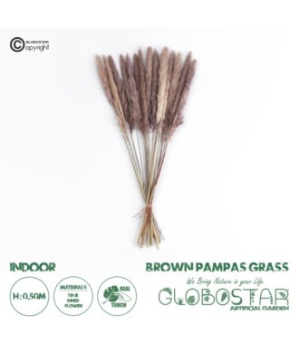GloboStar® Artificial Garden REAL DRIED BROWN PAMPAS GRASS BUNCH 21215 Αποξηραμένο Διακοσμητικό Μπουκέτο Pampas Kάφε Y50cm - Σετ 15 τμχ
